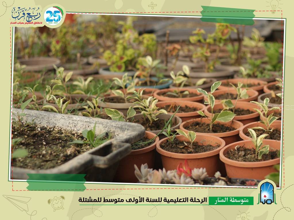 زيارة مشتلة الحميز زيارة مشتلة الحميز